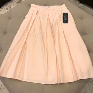 NWT! JCrew Light Pink Skirt